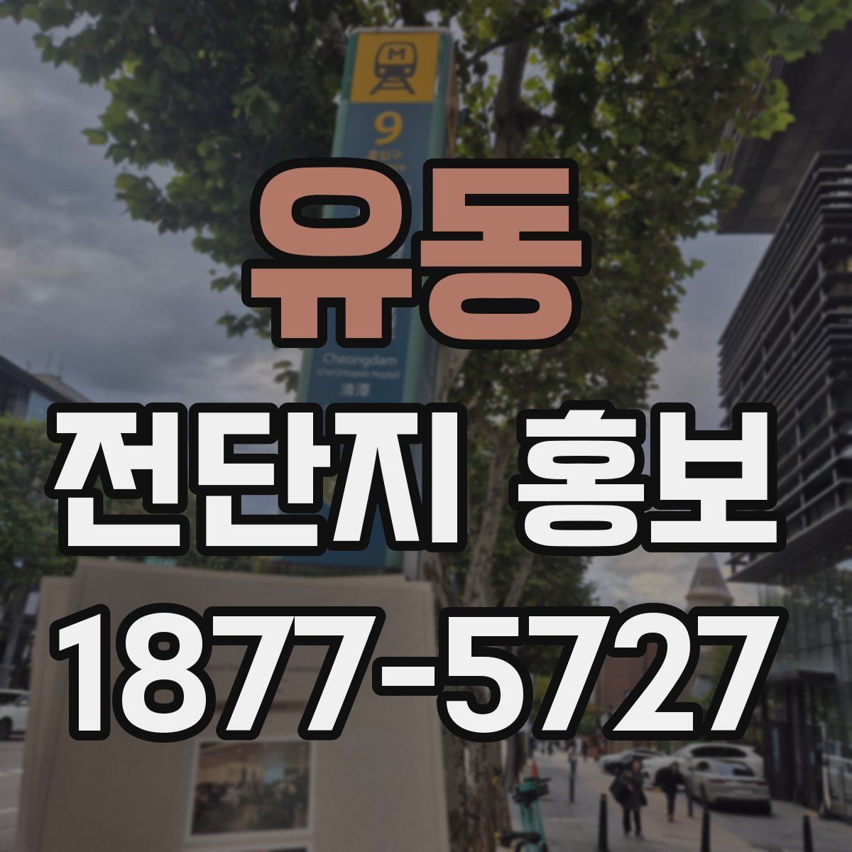 유동 전단지 홍보