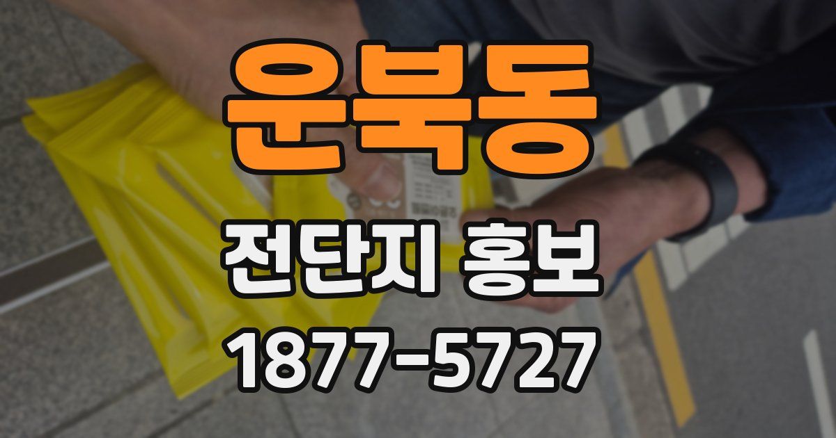 운북동 전단지 홍보