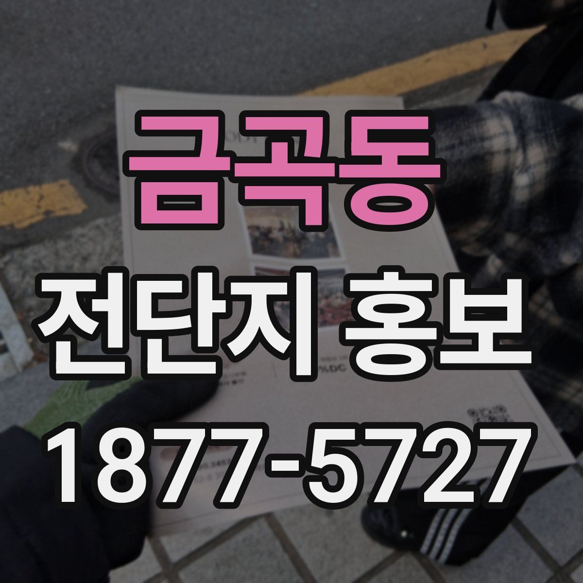 금곡동 전단지 홍보