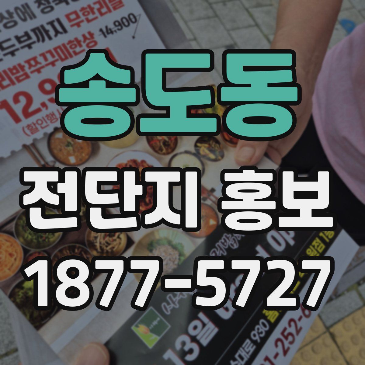 송도동 전단지 홍보