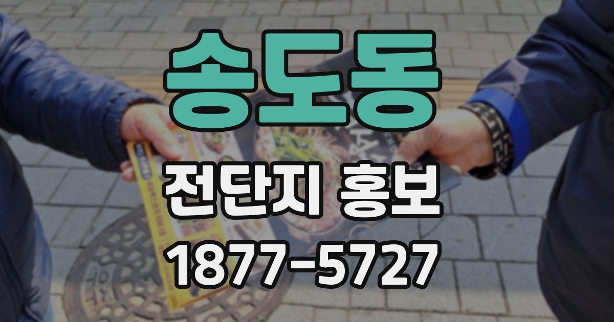 송도동 전단지 홍보