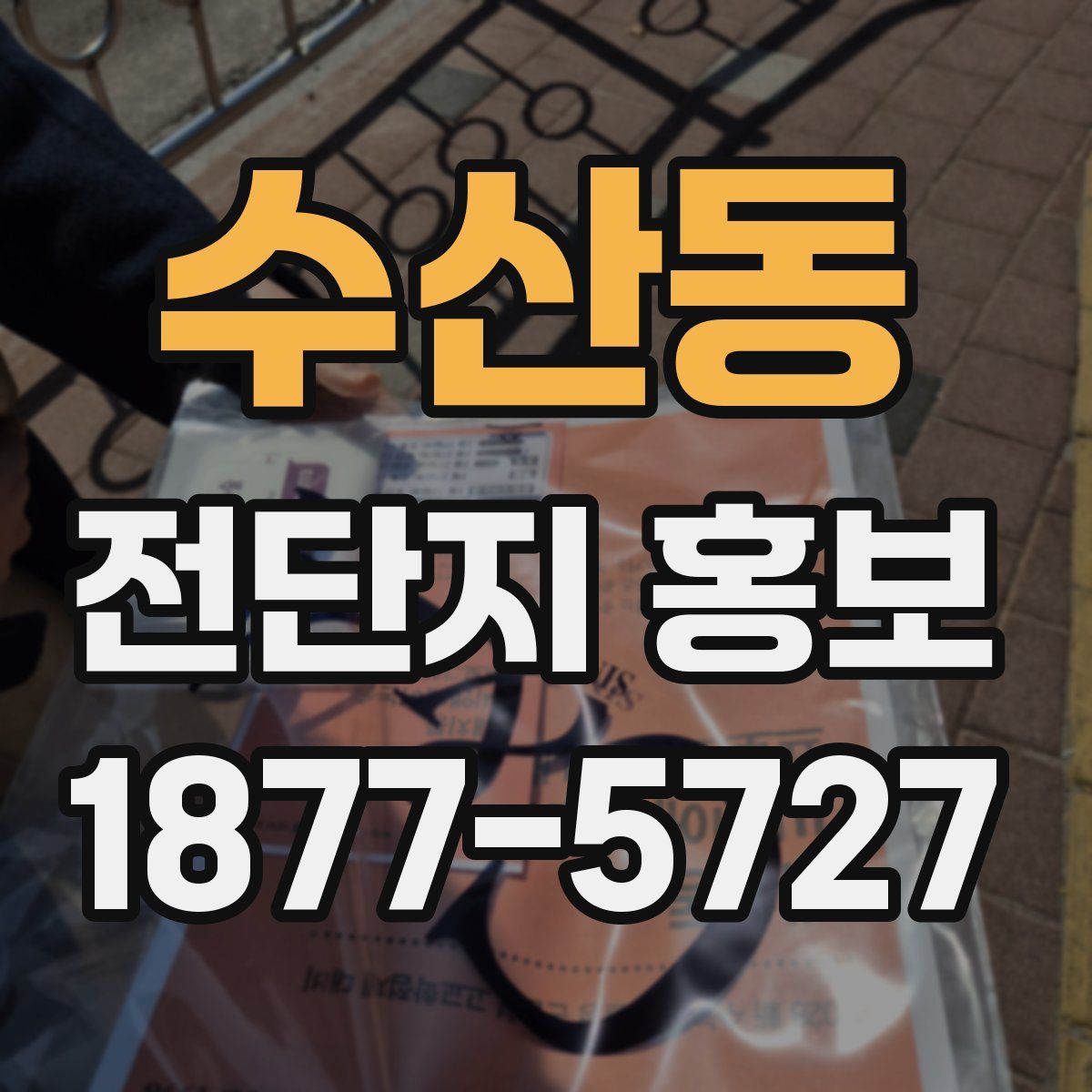 수산동 전단지 홍보