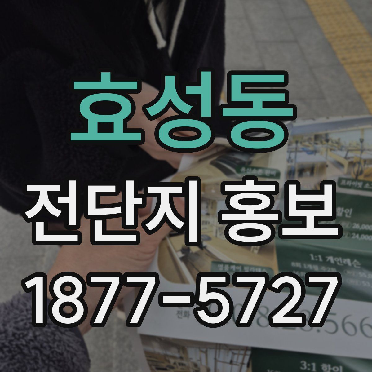 효성동 전단지 홍보