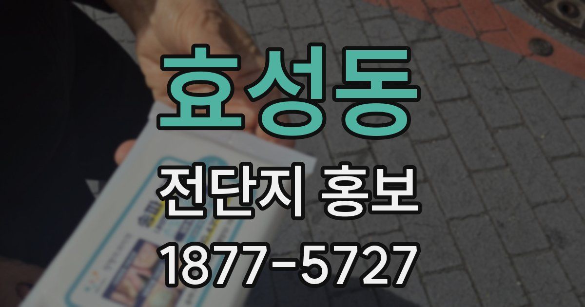 효성동 전단지 홍보