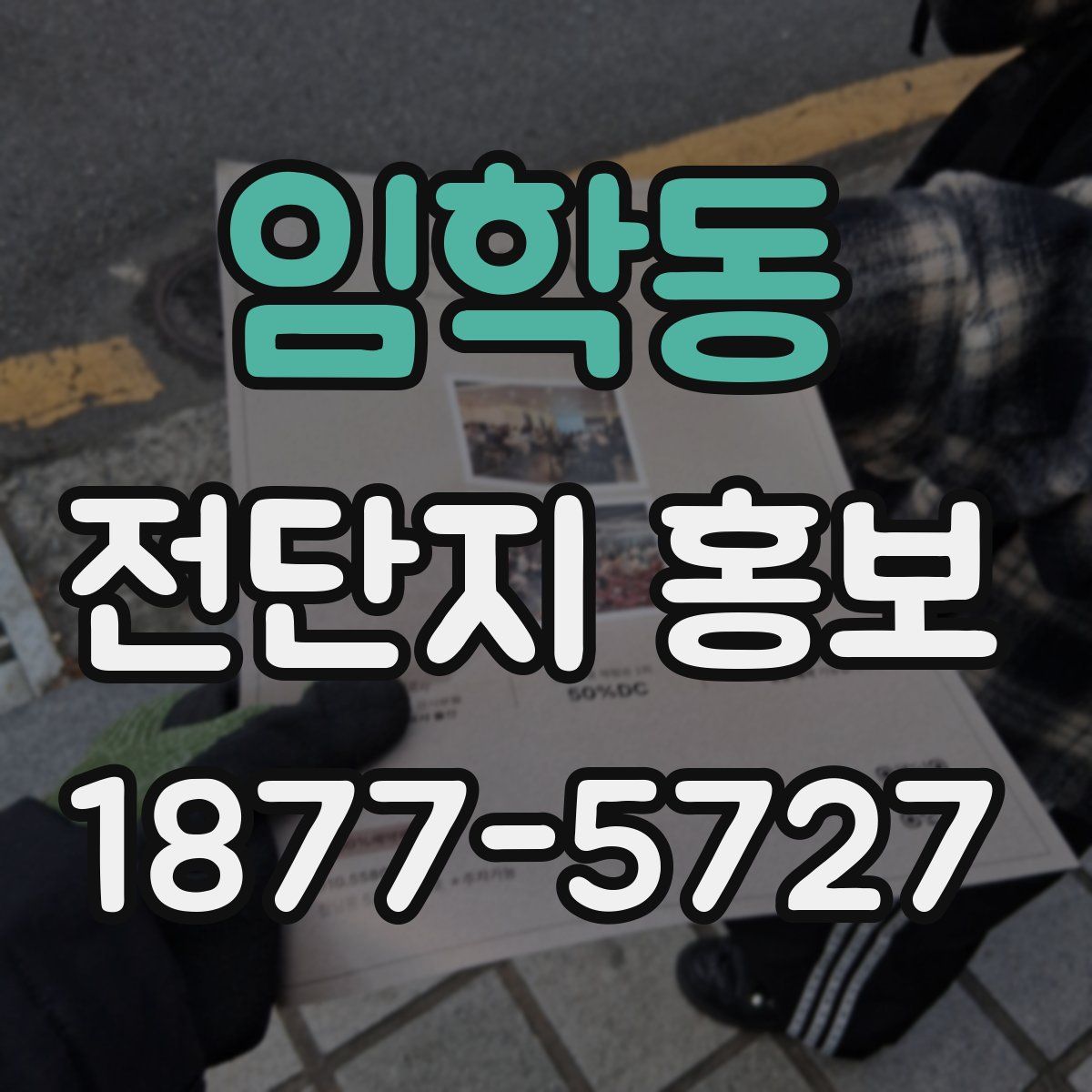 임학동 전단지 홍보