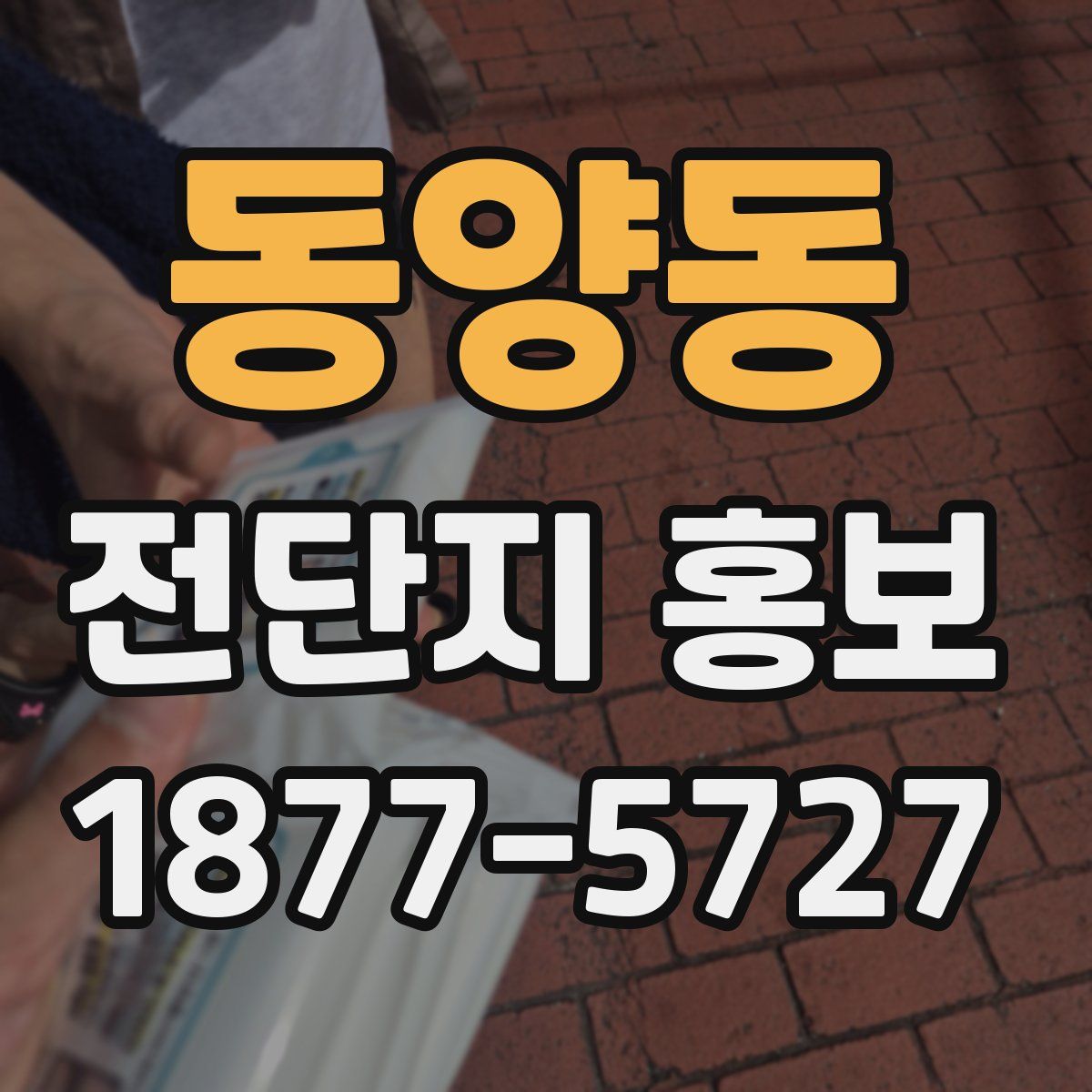 동양동 전단지 홍보