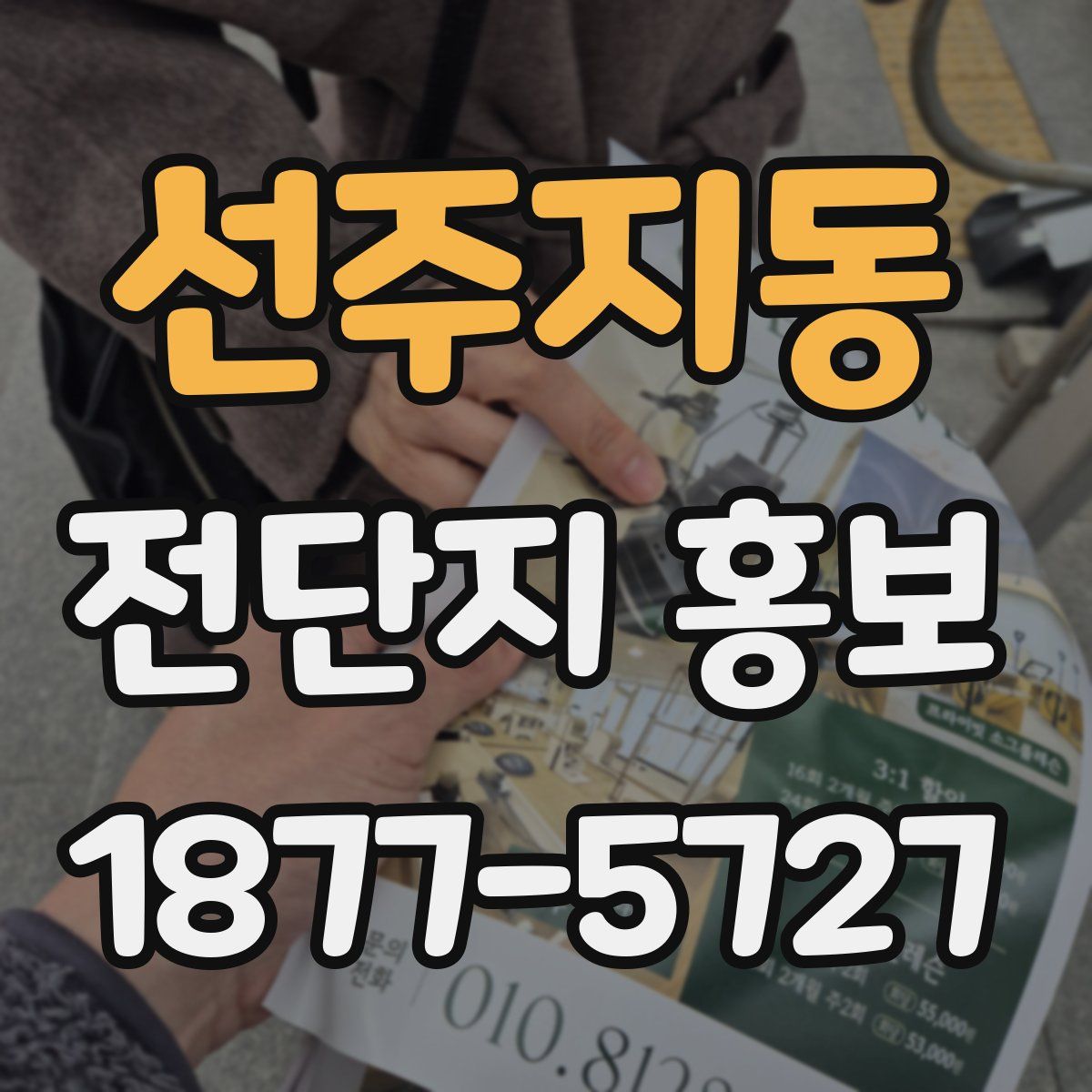 선주지동 전단지 홍보