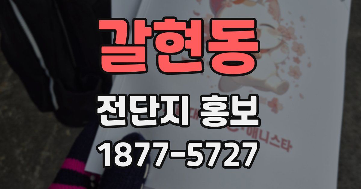 갈현동 전단지 홍보