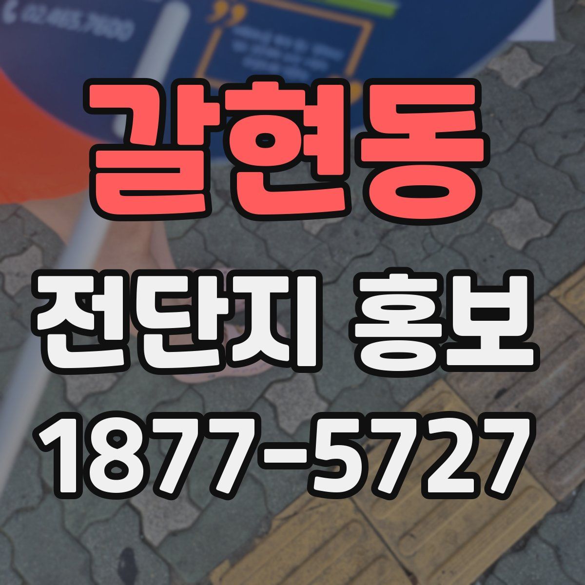 갈현동 전단지 홍보