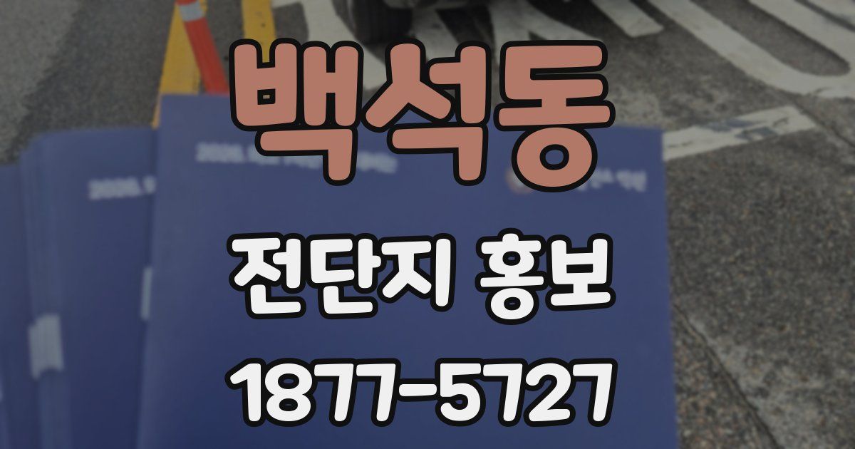 백석동 전단지 홍보