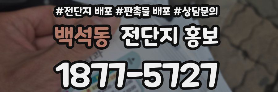 백석동 전단지 홍보