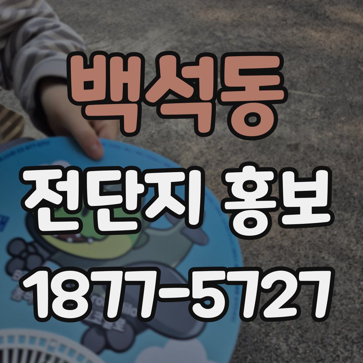 백석동 전단지 홍보