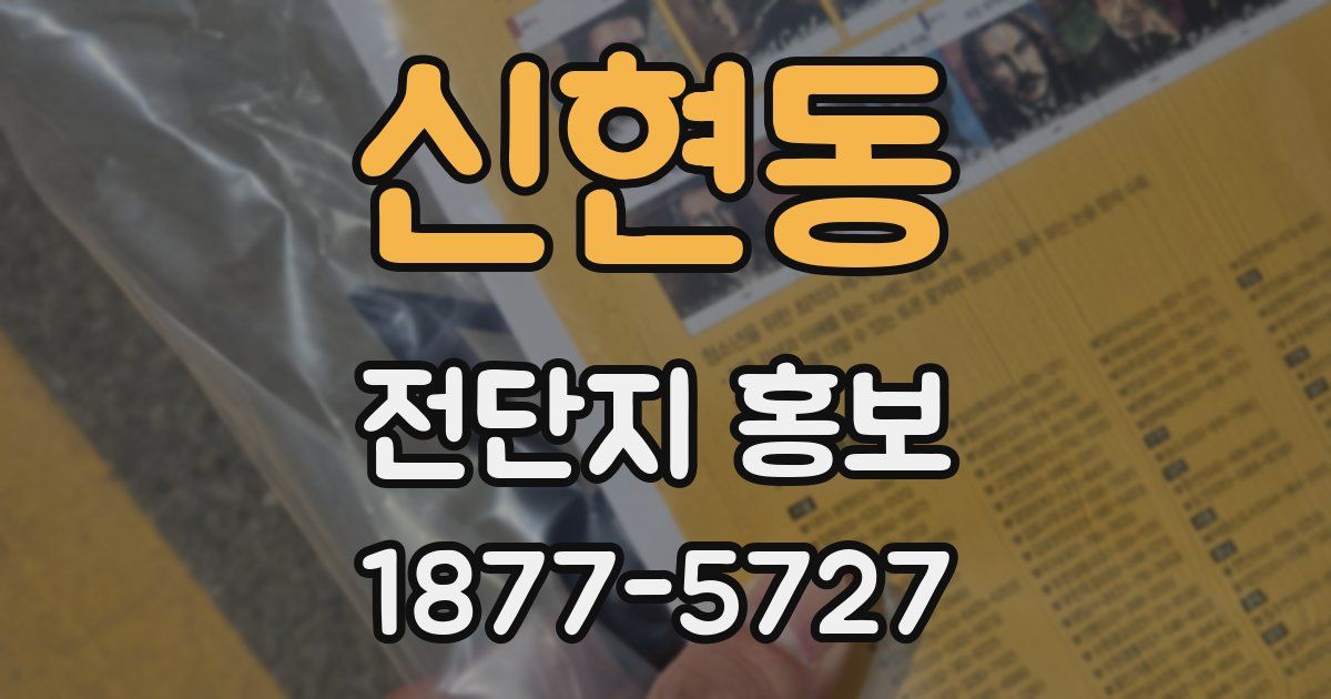 신현동 전단지 홍보