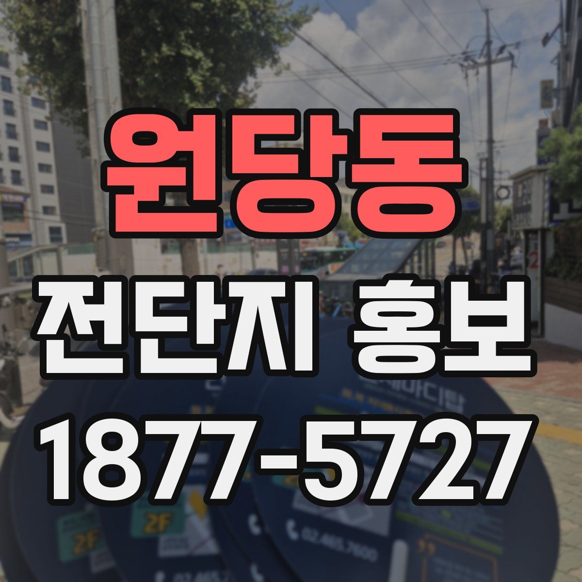 원당동 전단지 홍보