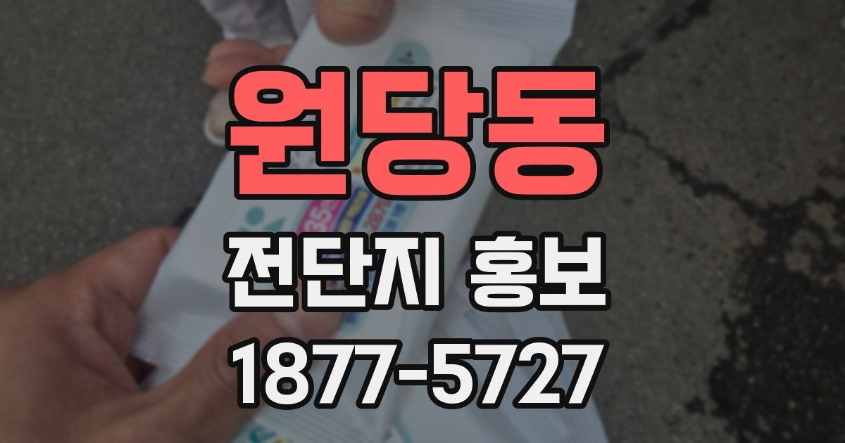 원당동 전단지 홍보