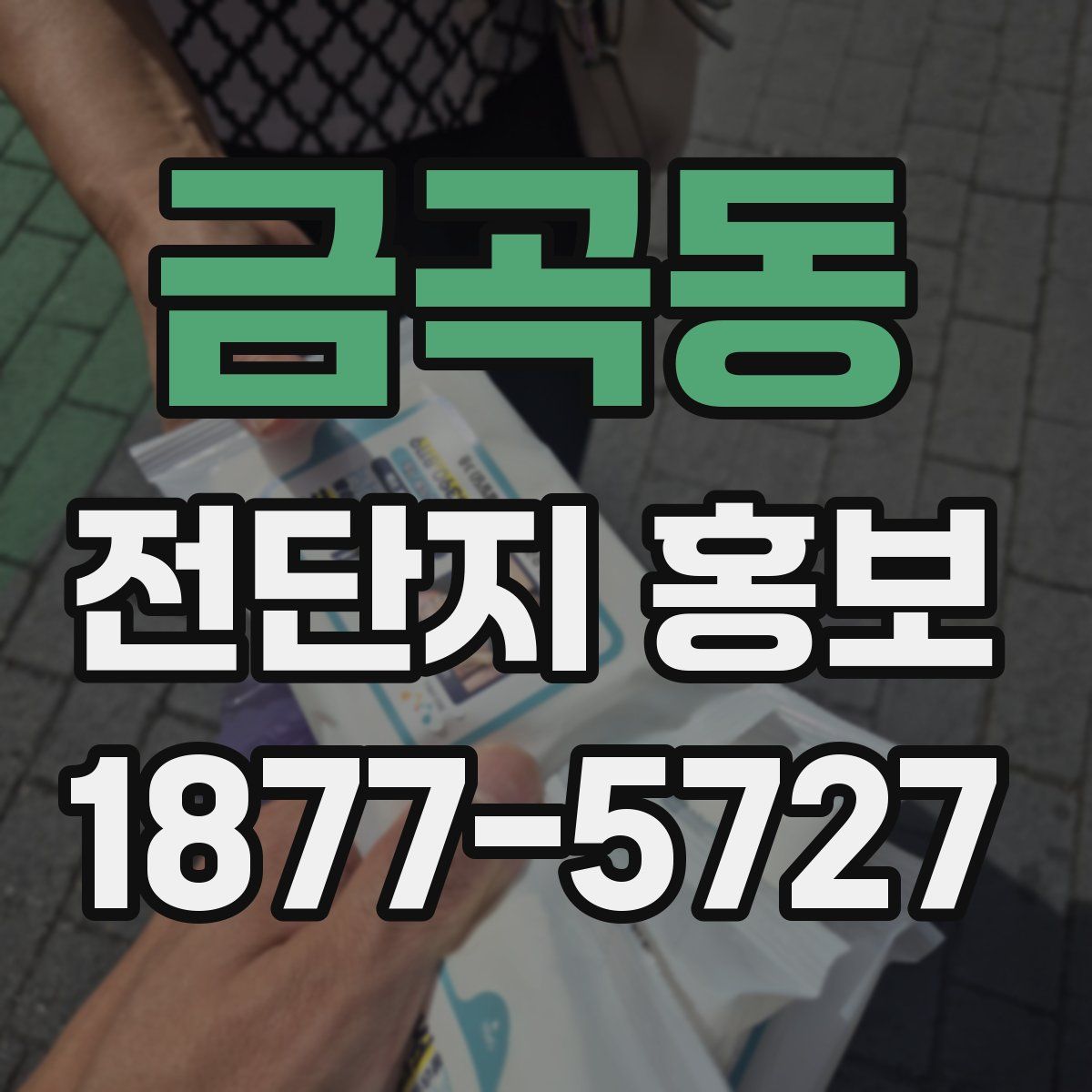 금곡동 전단지 홍보