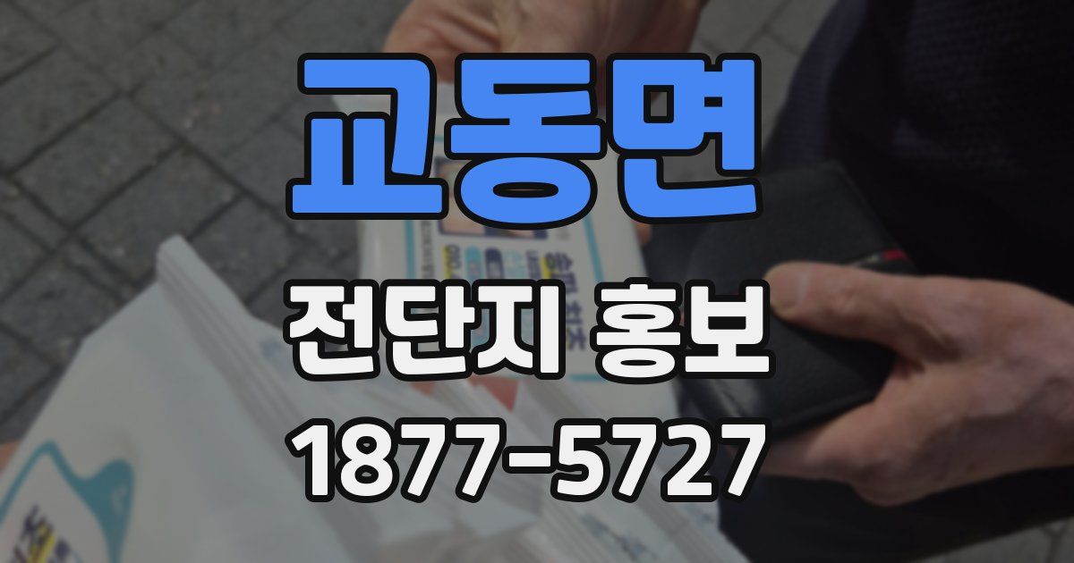 교동면 전단지 홍보
