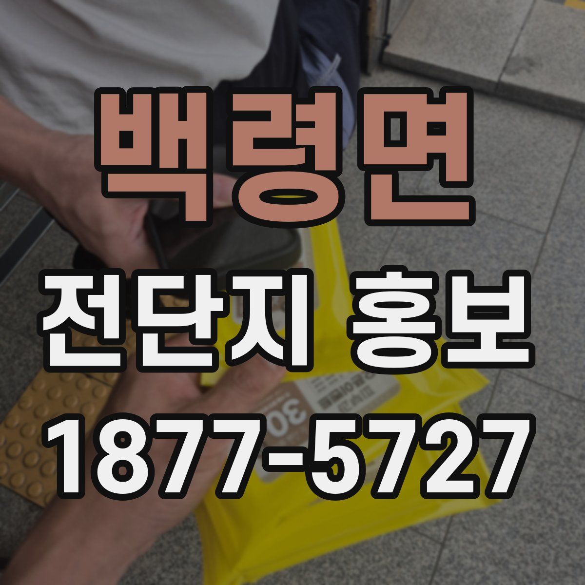 백령면 전단지 홍보