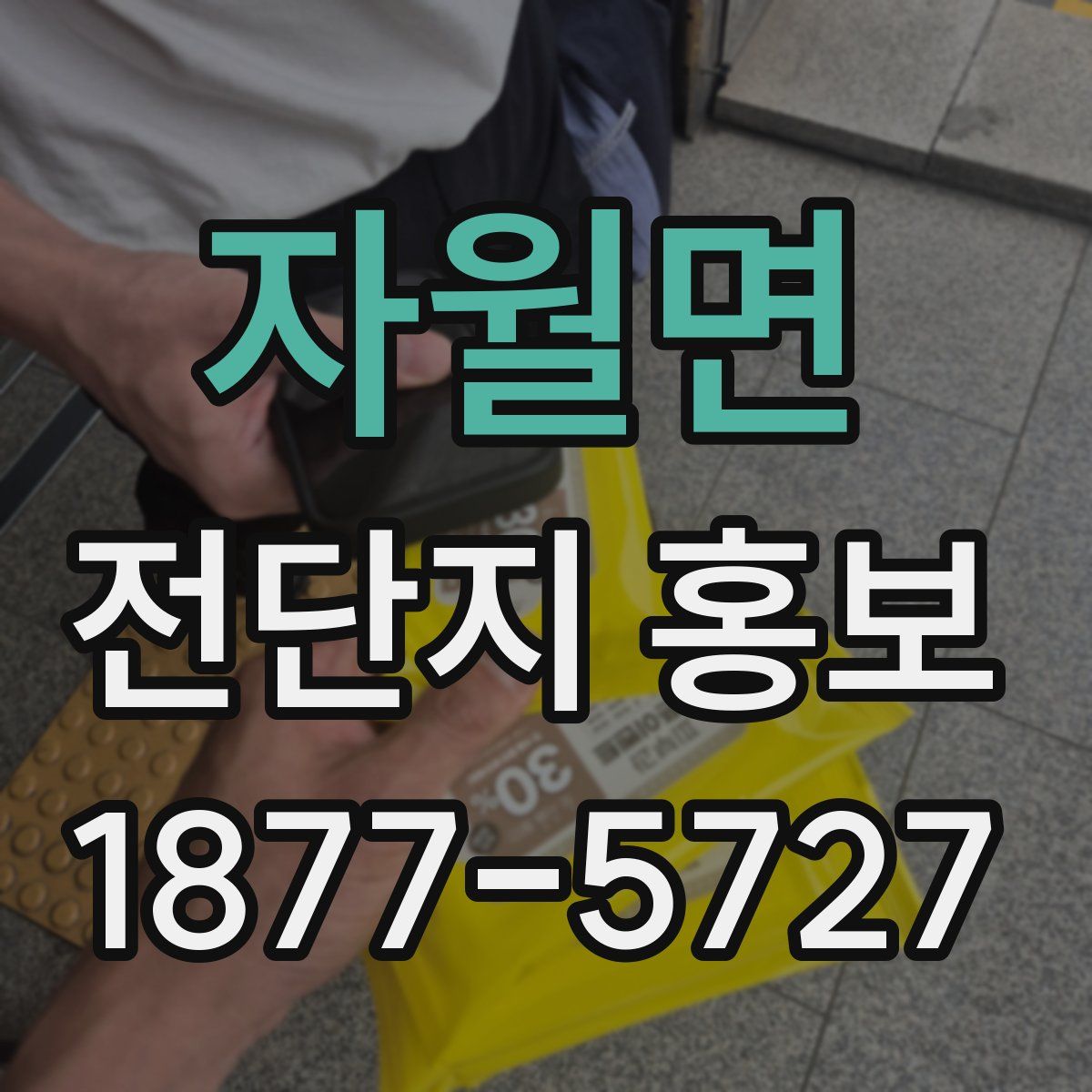 자월면 전단지 홍보