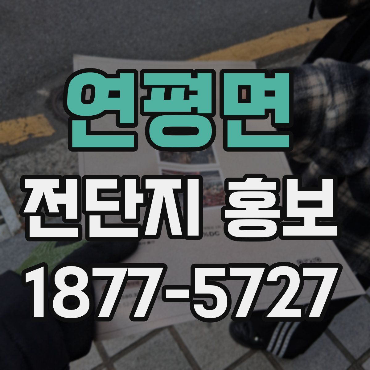 연평면 전단지 홍보