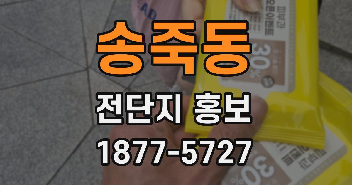 송죽동 전단지 홍보