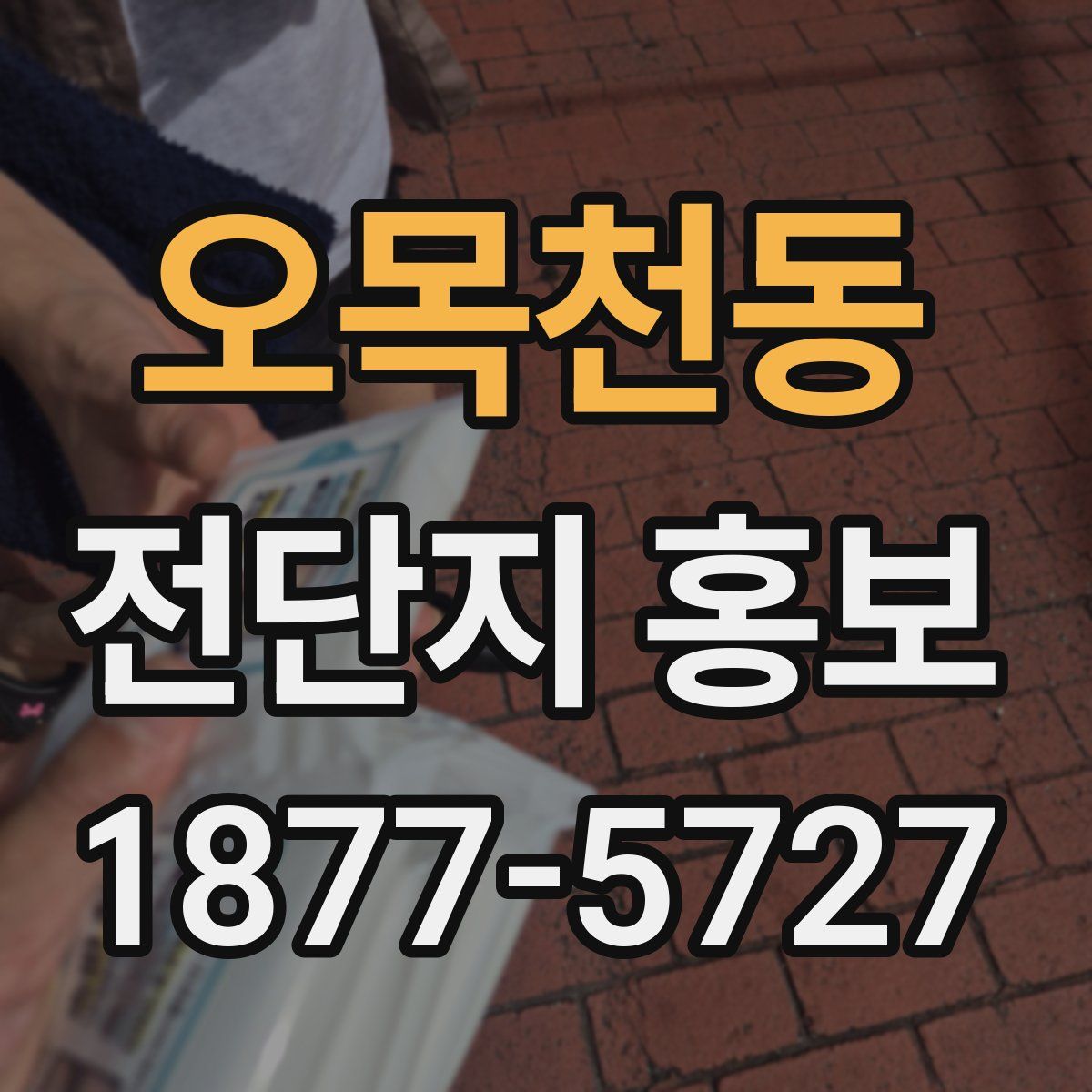 오목천동 전단지 홍보