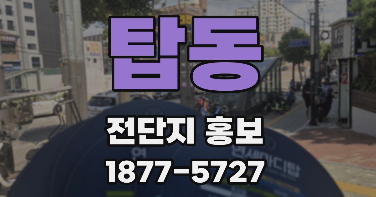 탑동 전단지 홍보