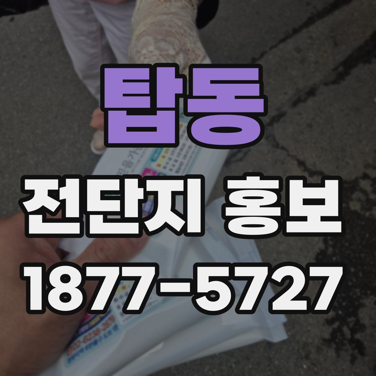 탑동 전단지 홍보