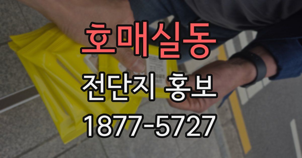 호매실동 전단지 홍보