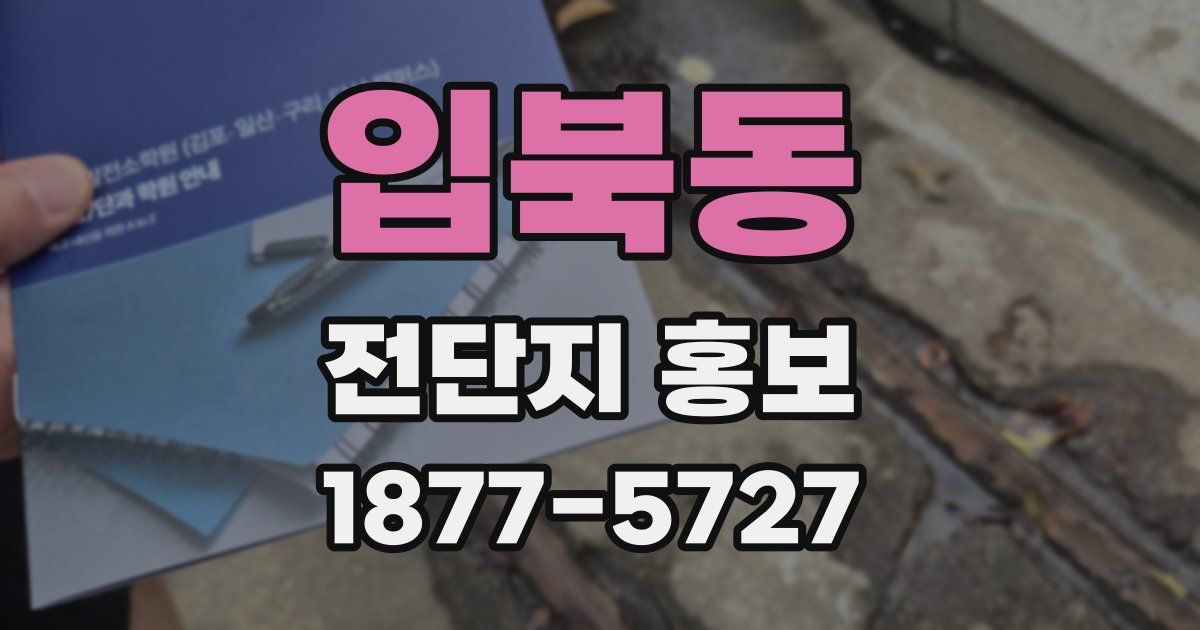 입북동 전단지 홍보