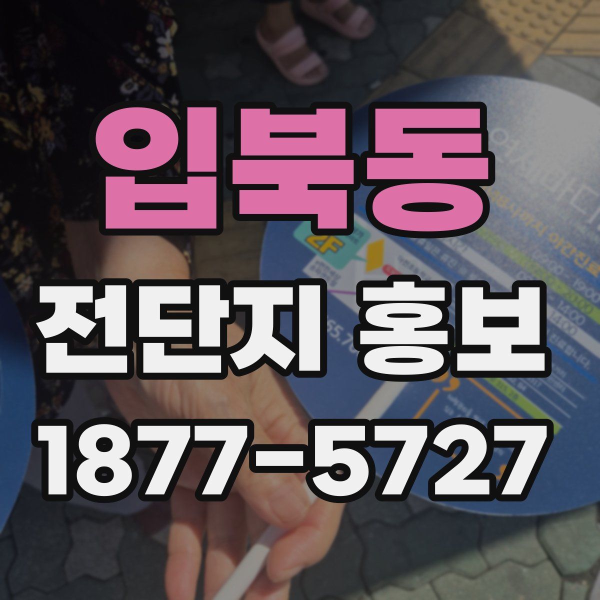 입북동 전단지 홍보