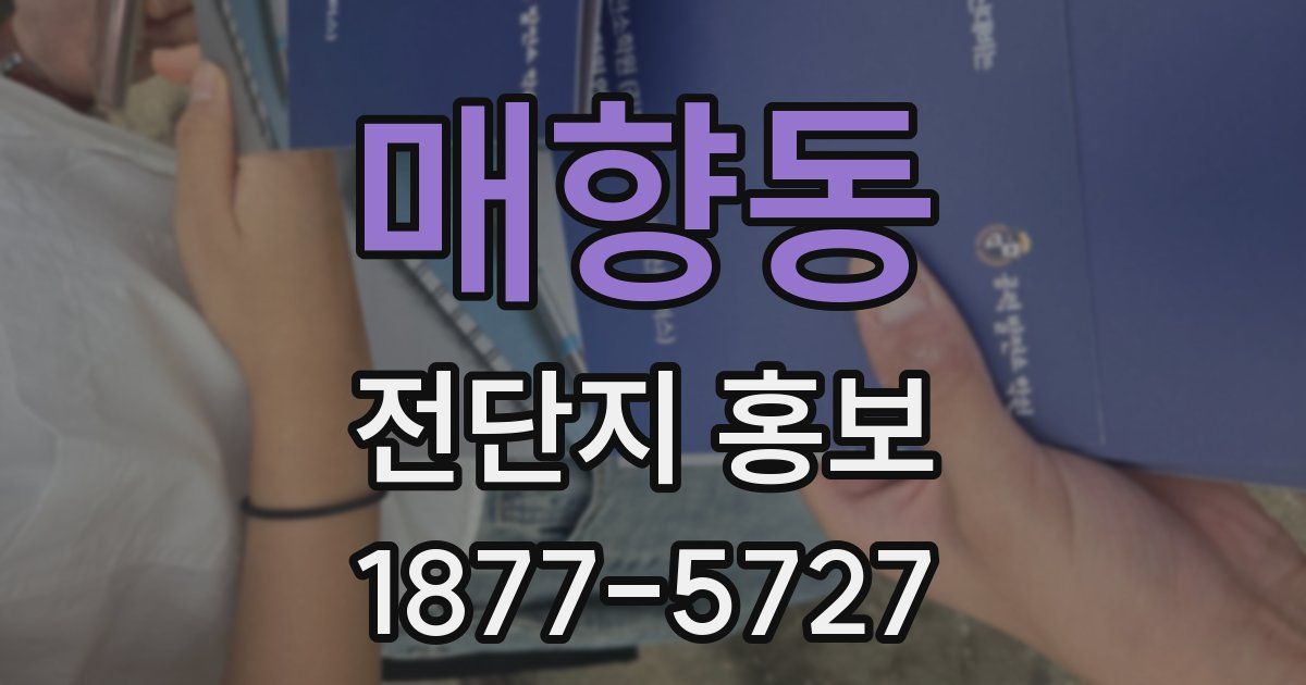매향동 전단지 홍보