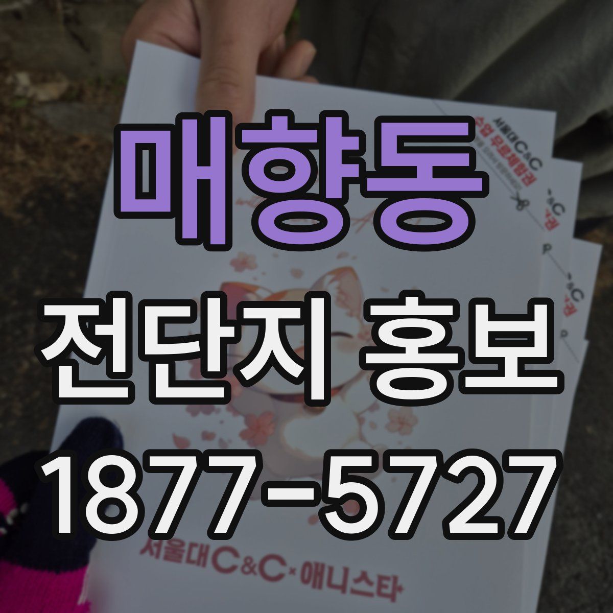 매향동 전단지 홍보