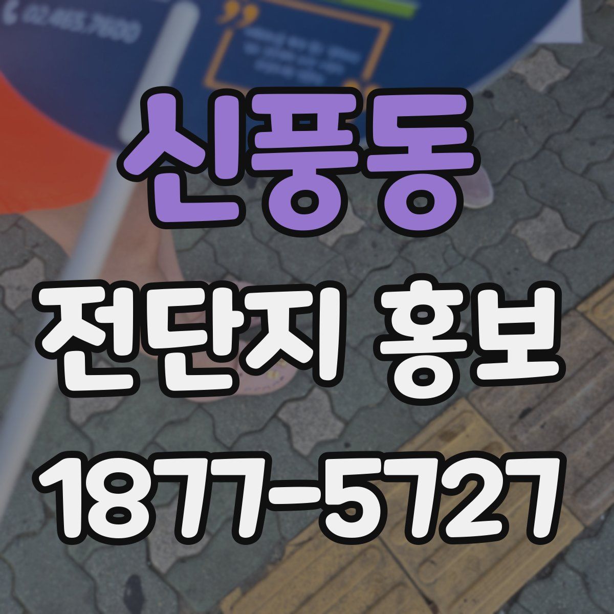 신풍동 전단지 홍보