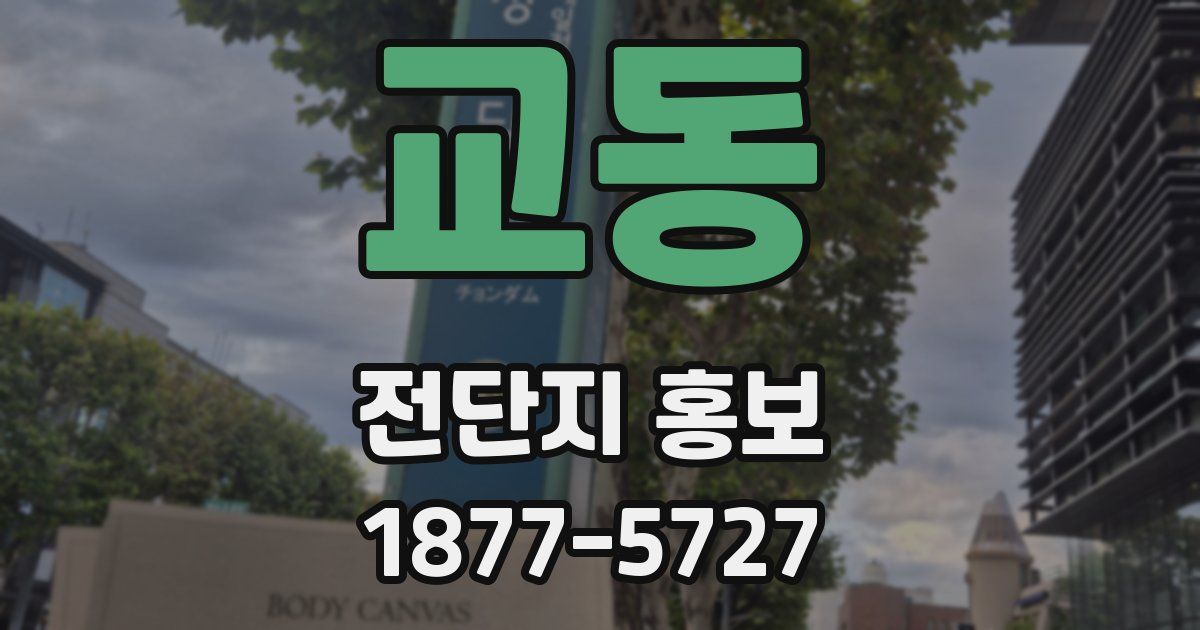 교동 전단지 홍보