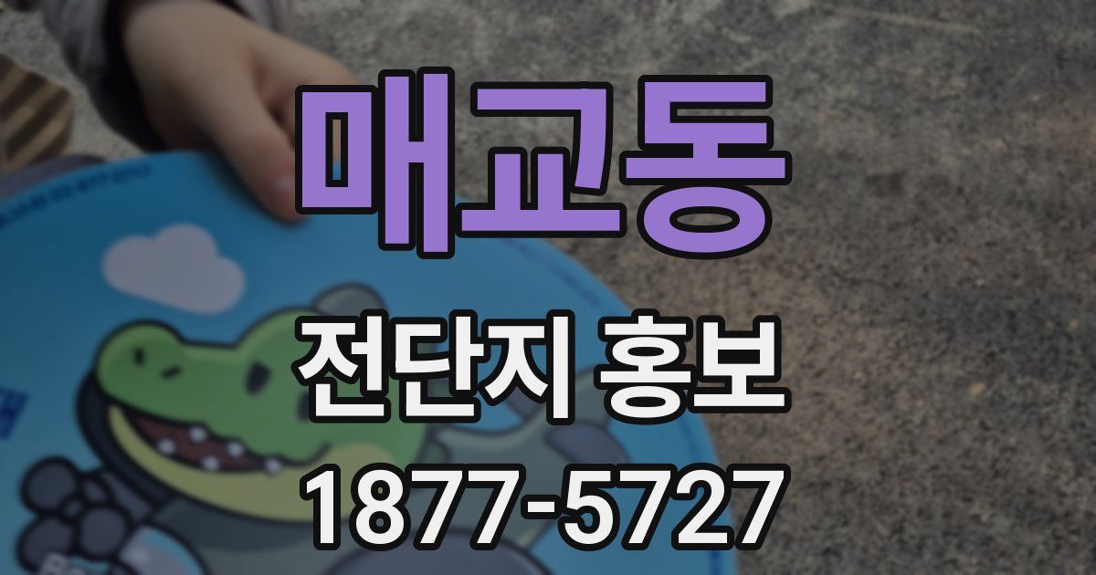 매교동 전단지 홍보