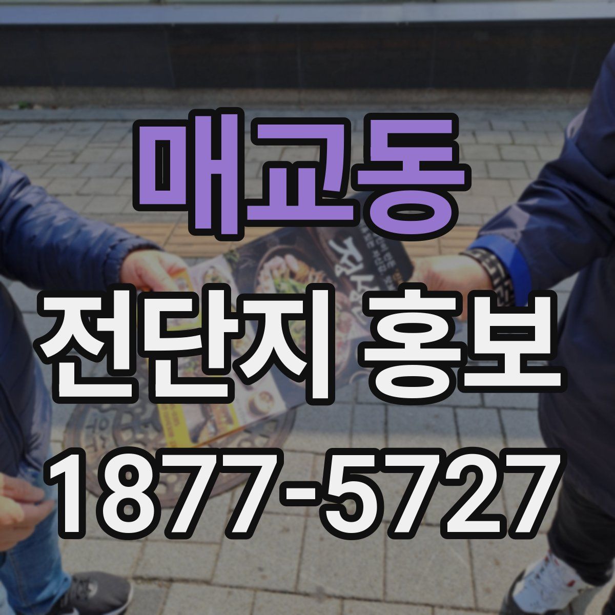 매교동 전단지 홍보