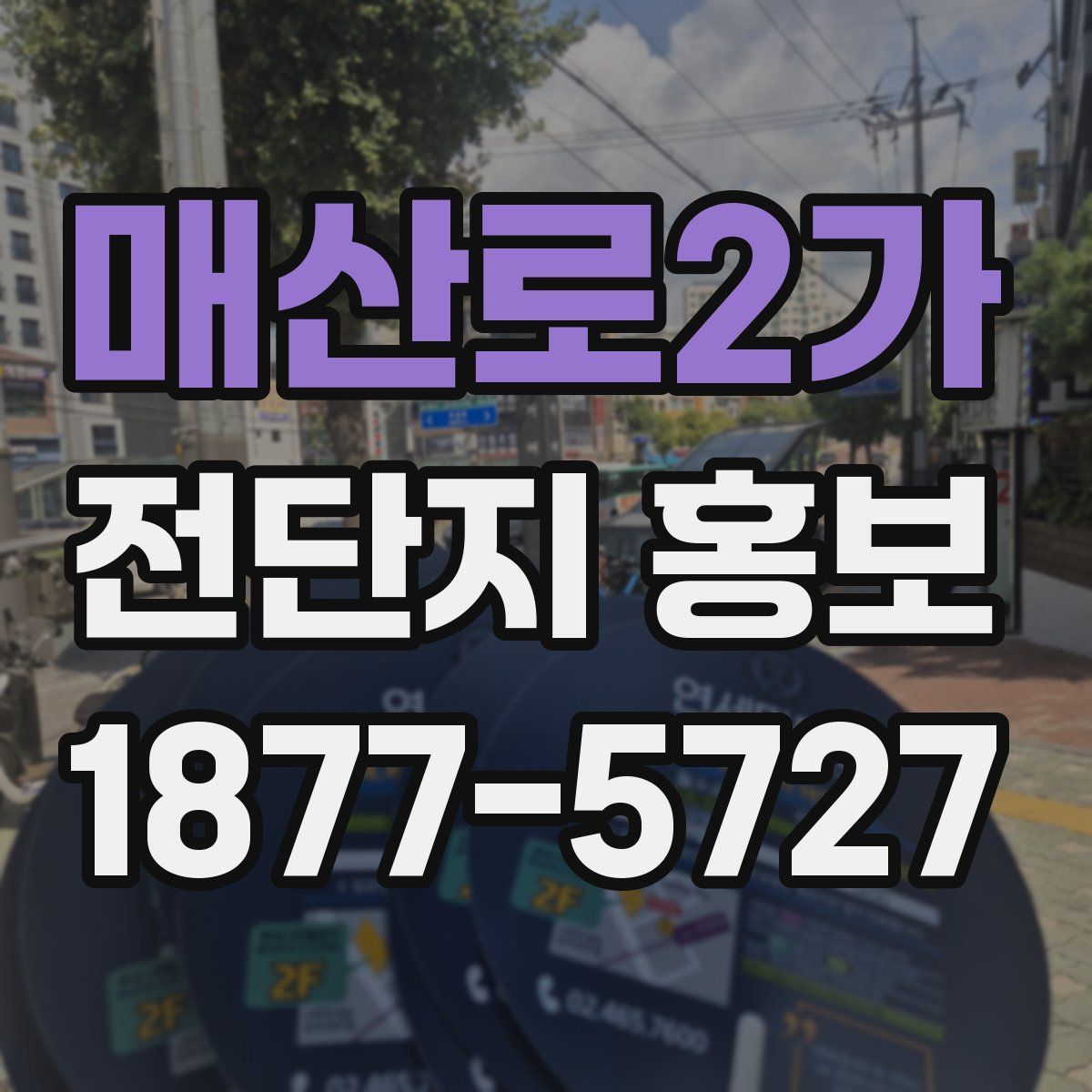 매산로2가 전단지 홍보