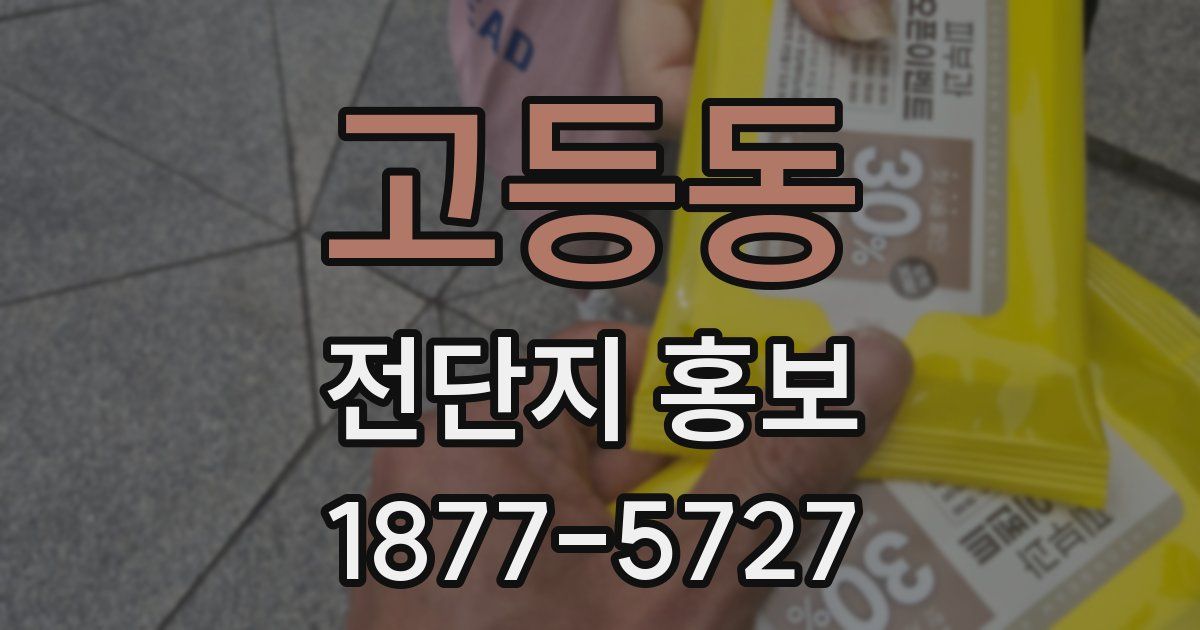 고등동 전단지 홍보