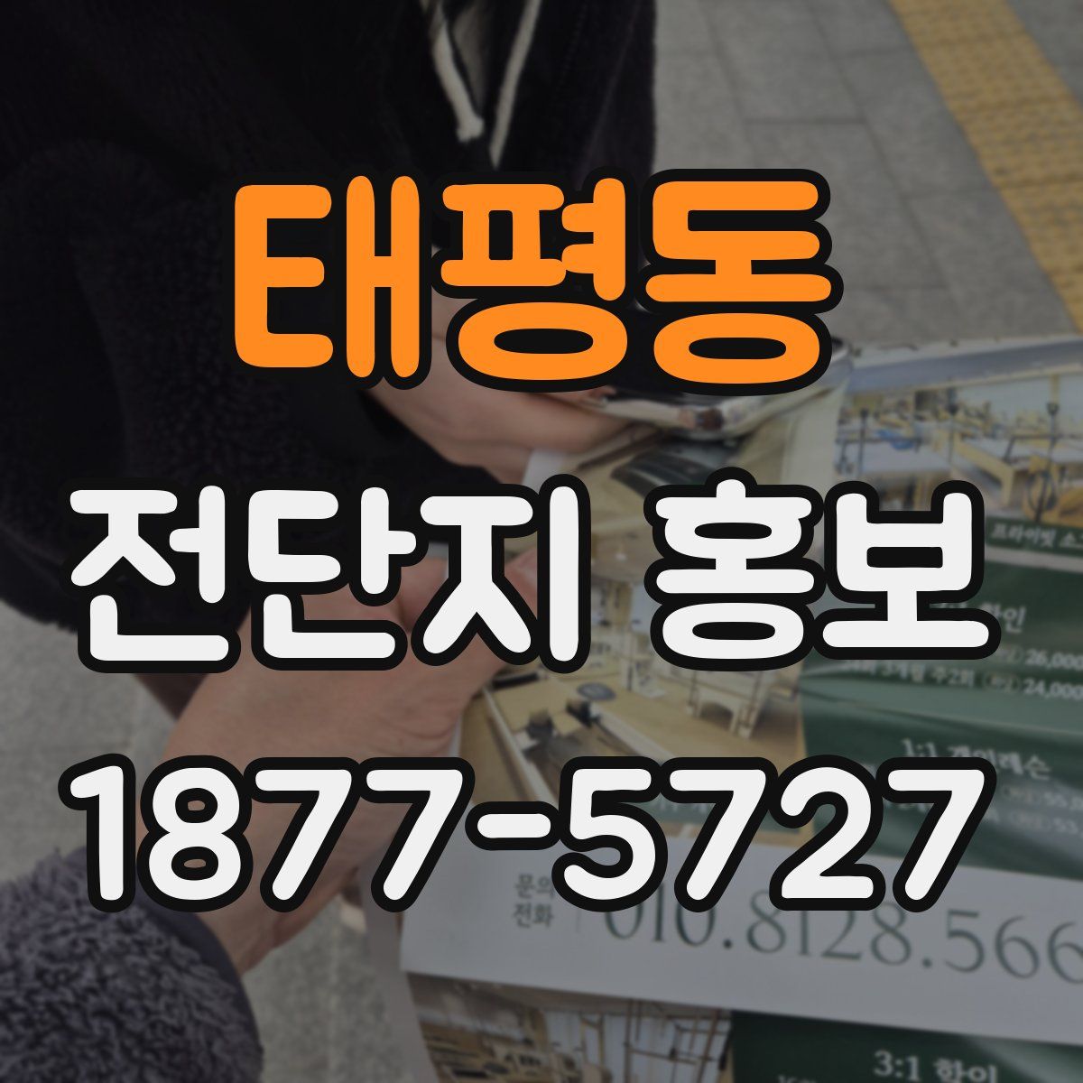 태평동 전단지 홍보