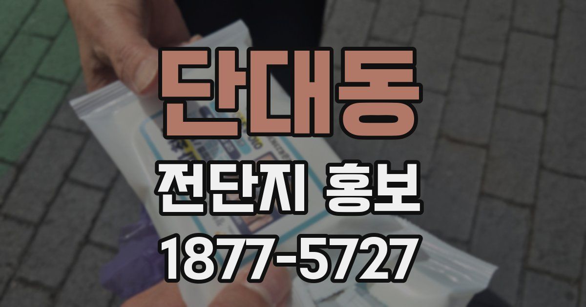 단대동 전단지 홍보
