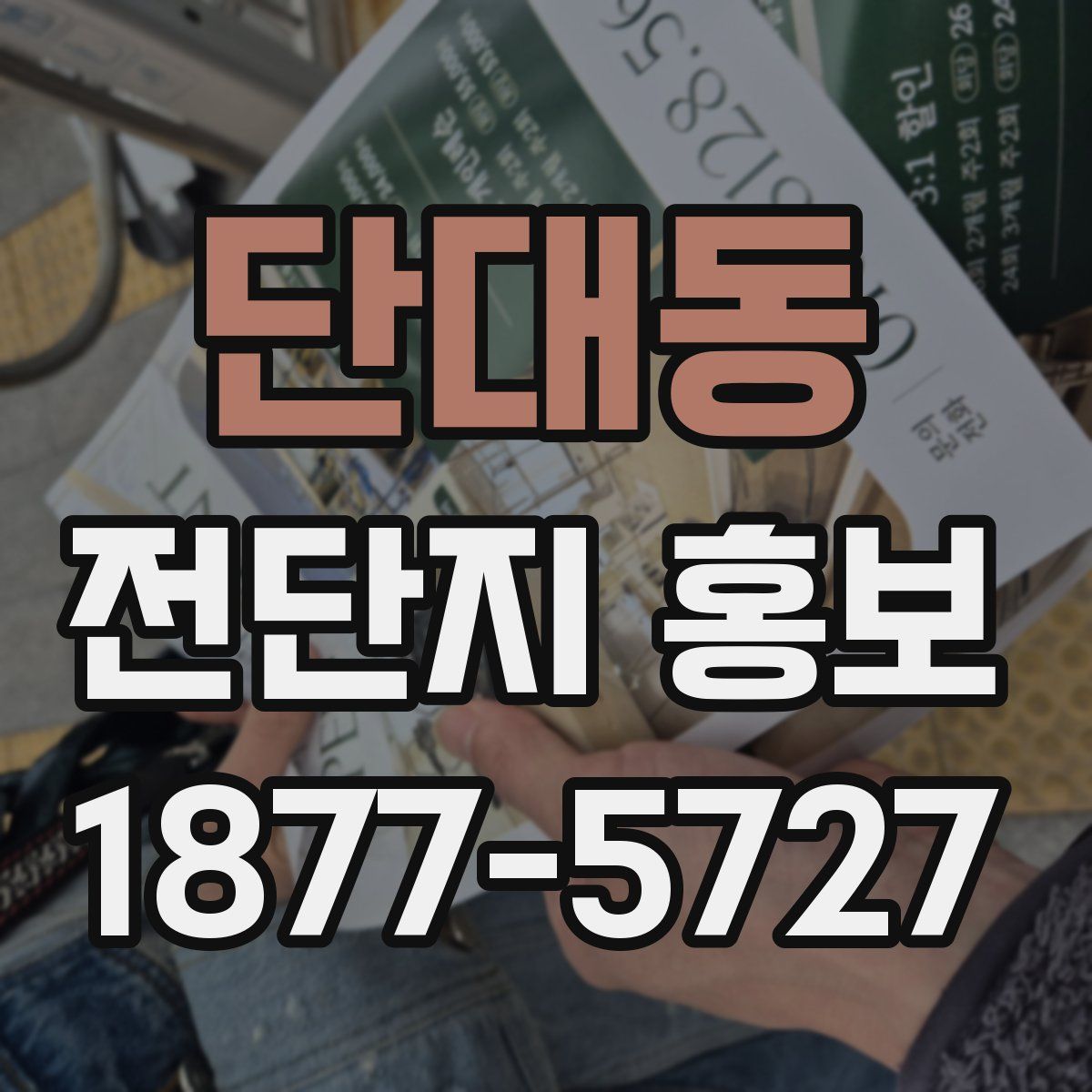 단대동 전단지 홍보