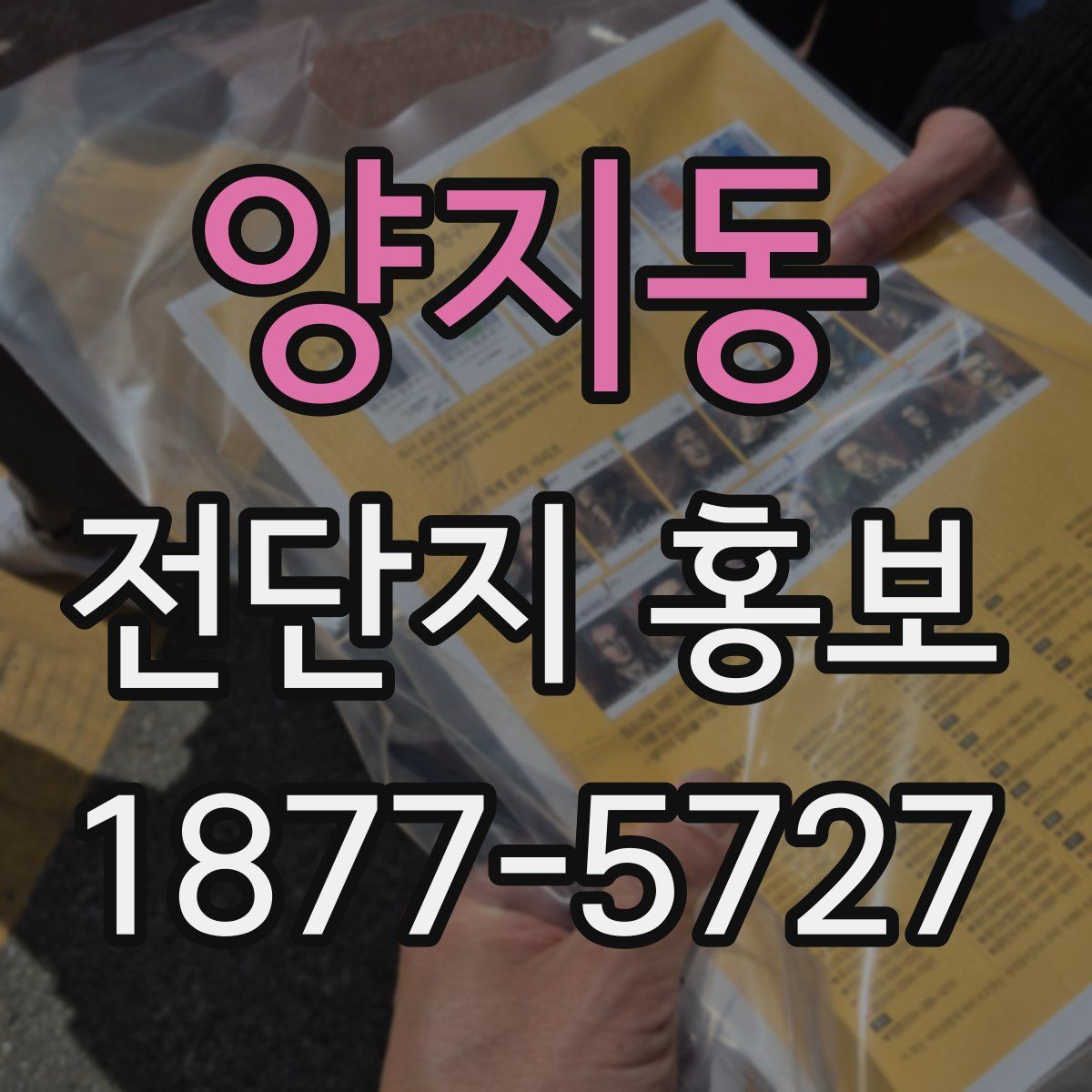 양지동 전단지 홍보