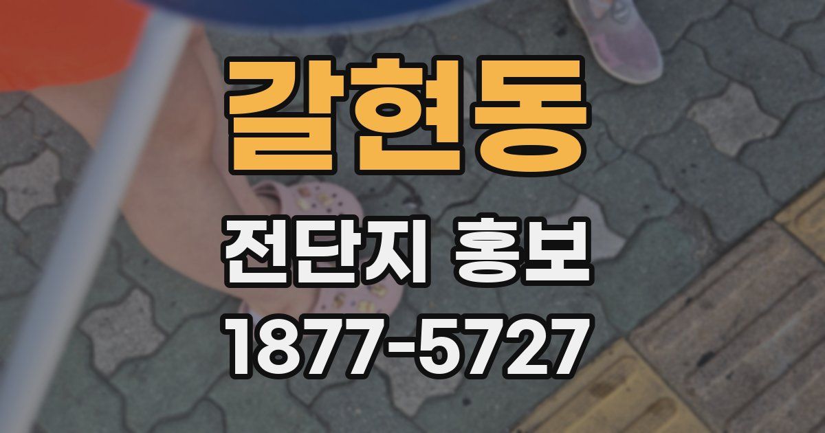 갈현동 전단지 홍보
