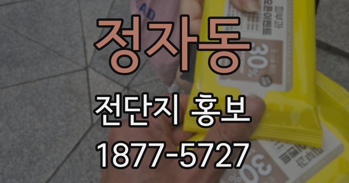 정자동 전단지 홍보