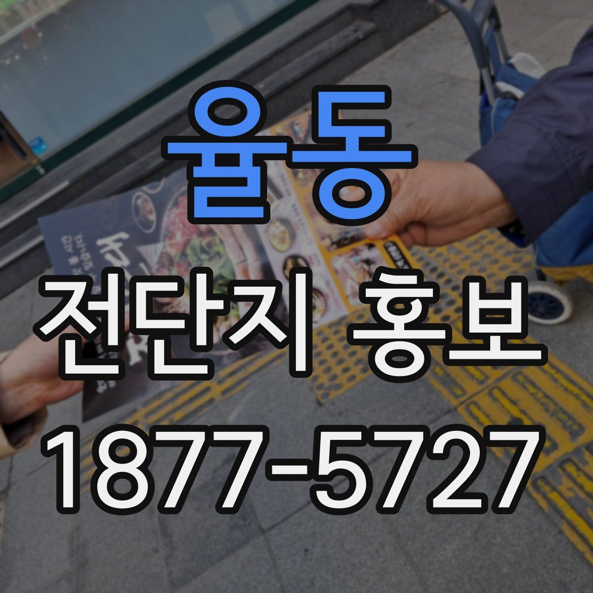 율동 전단지 홍보