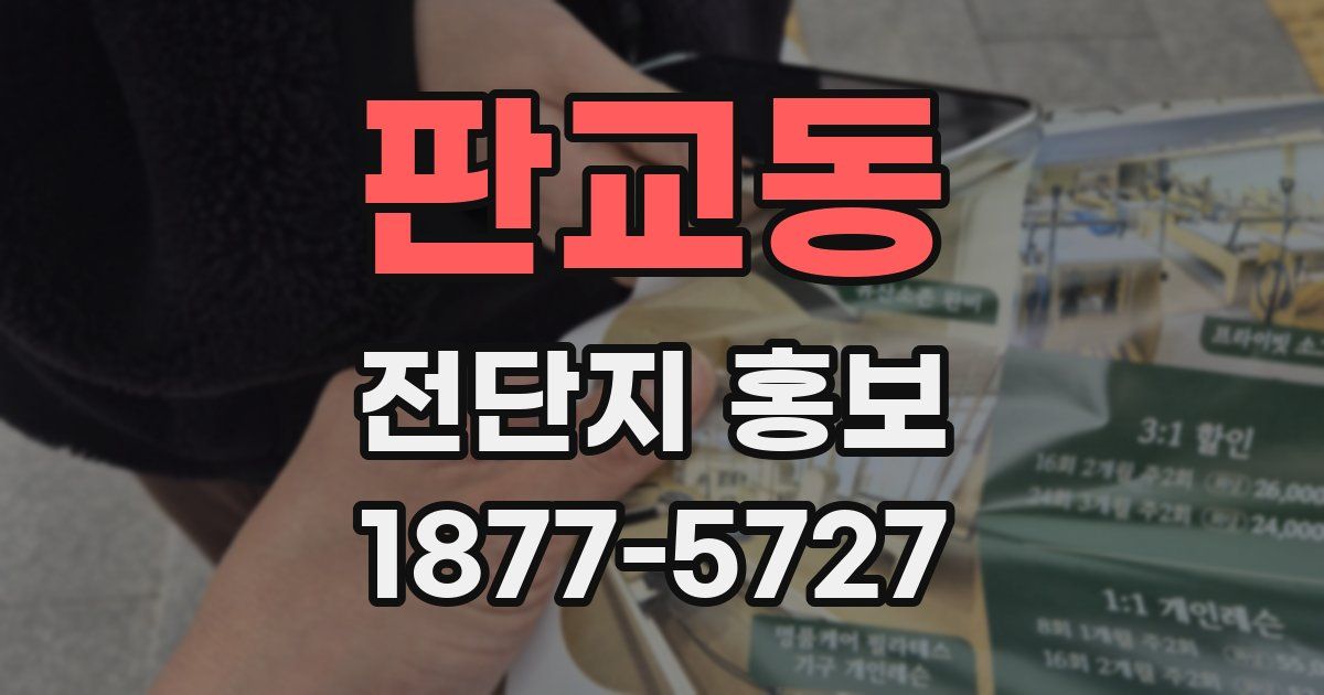 판교동 전단지 홍보