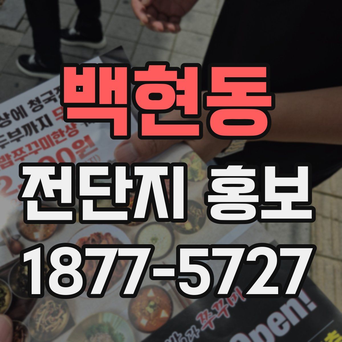 백현동 전단지 홍보