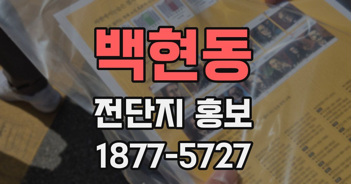 백현동 전단지 홍보
