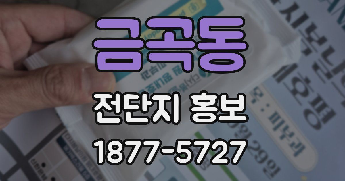금곡동 전단지 홍보